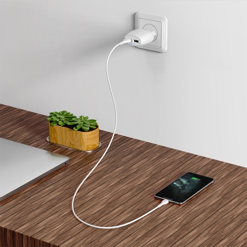 Адаптер мережевий HOCO Lightning Cable Max energy C78A |2USB, 2.4A| white