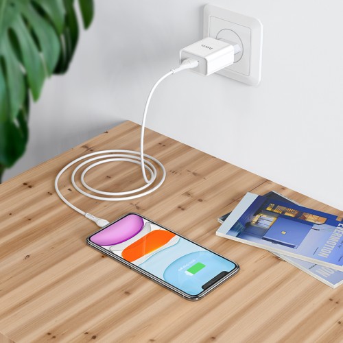 Адаптер мережевий HOCO Lightning cable Asombroso C81A |1USB, 2.1A| white