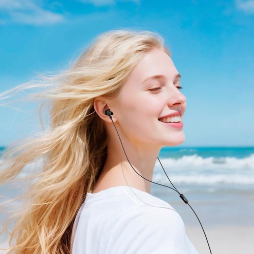 Навушники HOCO Victory universal earphones with microphone M117 |1.2m| black