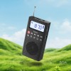 Портативний радіоприймач HOCO Portable radio HI51 |BT5.3/TF/FM/AM/AUX, 2.5-3.5h| black