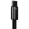 Кабель Baseus Type-C Tungsten Gold Fast Charging Data Cable |1m, 100W| black