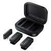 Бездротова мікрофонна система BOROFONE BFK17 Lemai wireless microphone Type-C Black