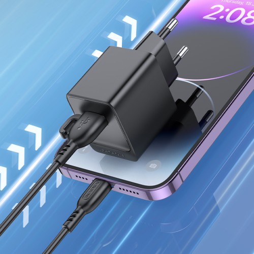 Мережевий зарядний пристрій з кабелем BOROFONE BAS11A Erudite single port charger set(iP) Black