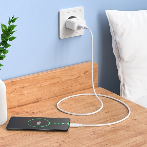 Мережевий зарядний пристрій з кабелем HOCO C106A Leisure single port charger set(Micro) 10.5W White