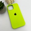 Чохол для смартфона Silicone Full Case AA Open Cam for Apple iPhone 13 Pro Max 24,Shiny Green
