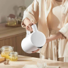 Електрочайник Xiaomi Mi Home Appliance Water Bottle N1 (Китайська вилка)