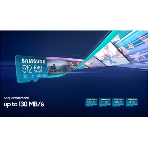 Карта пам'яті microSDXC (UHS-І U3) Samsung EVO Select 256Gb class 10 A2 V30 (R130MB/s, W30MB/s) (adapter SD)